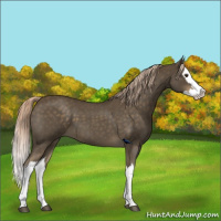 Horse Color:Chocolate Palomino Roan Splash