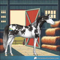 Horse Color:White Spotted Liver Chestnut Splash 