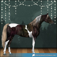 Horse Color:Chocolate Palomino Ice Tobiano