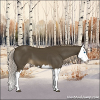 Horse Color:Chocolate Palomino Splash 