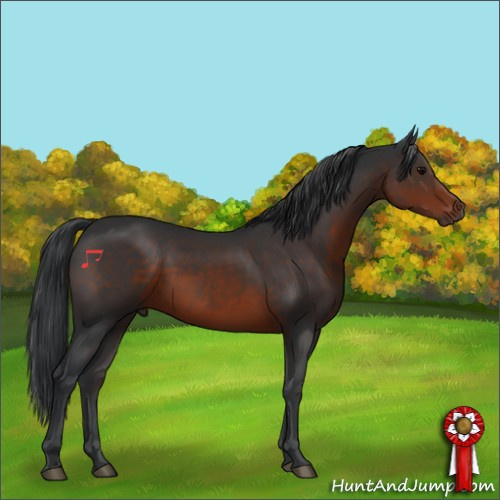 Horse Color:Brown Sabino 