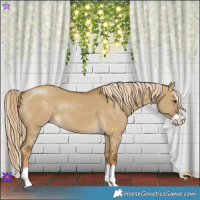 Horse Color:Chocolate Palomino Dun Mushroom Splash 