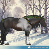 Horse Color:Brown Tobiano