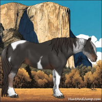 Horse Color:Liver Chestnut Tobiano 