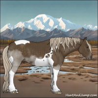 Horse Color:Chocolate Palomino Tobiano 