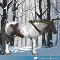 Horse Color:Brown Tobiano 