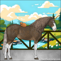 Horse Color:Chocolate Palomino Splash