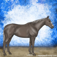 Horse Color:Silver Black 