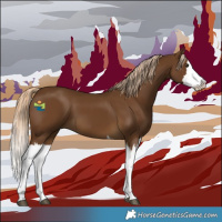 Horse Color:Chocolate Palomino Splash 