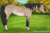 Horse Color:Brown Dun Tobiano 