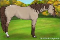 Horse Color:Liver Red Dun Tobiano 