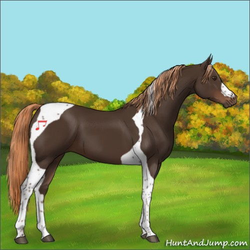 Horse Color:Liver Chestnut Tobiano 