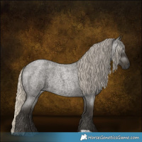Horse Color:Gray Silver Smoky Blue Roan Rabicano 