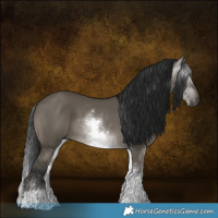 Horse Color:Gray White Spotted Grullo 