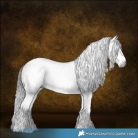 Horse Color:Gray White Spotted Bay Dun 
