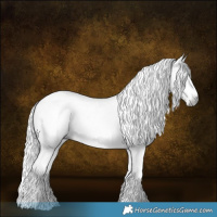 Horse Color:Gray White Spotted Silver Buckskin Dun 