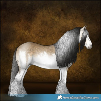 Horse Color:Gray White Spotted Buckskin Dun 