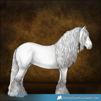 Horse Color:Gray White Spotted Silver Blue Roan 