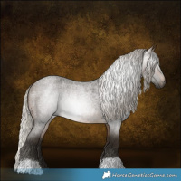 Horse Color:Gray Silver Buckskin Roan Rabicano 