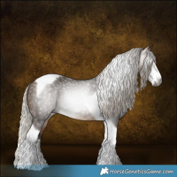 Horse Color:Gray White Spotted Silver Buckskin Tobiano Rabicano 