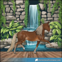 Horse Color:Chocolate Palomino Splash 