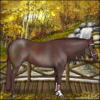 Horse Color:Chocolate Brown