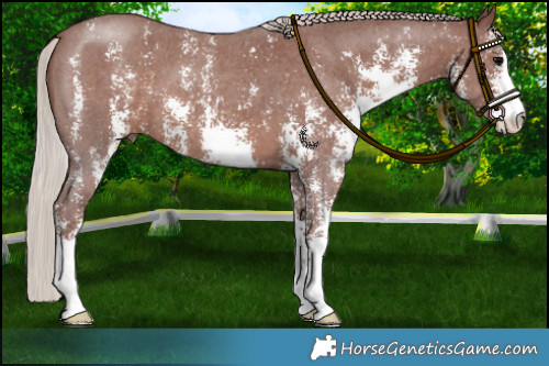 Horse Color:Chocolate Silver Black Sabino