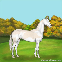 Horse Color:Perlino Splash and Perlino Splash