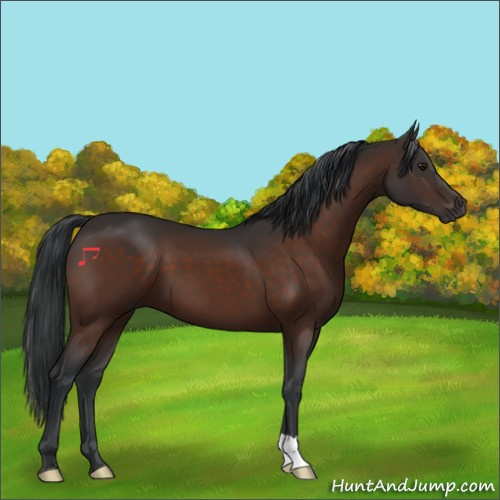 Horse Color:Brown 