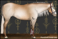 Horse Color:Gray Silver Smoky Black Pearl 