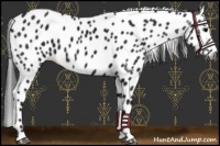 Horse Color:Gray Black Leopard 