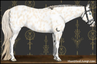 Horse Color:Perlino Leopard 