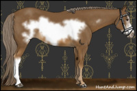 Horse Color:Chocolate Palomino Frame 