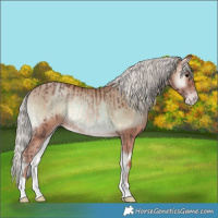 Horse Color:Silver Brown Onyx  and Silver Sable Champagne Onyx 