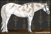 Horse Color:Chocolate Palomino Sabino Blanket 