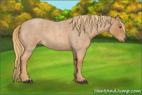 Horse Color:Red Roan 