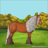 Horse Color:Silver Bay 