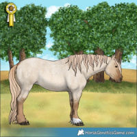 Horse Color:Chocolate Palomino Roan Dun 