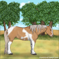 Horse Color:Silver Buckskin Dun Tobiano Frame 