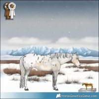 Horse Color:Silver Buckskin Dun Sabino Tobiano Appaloosa Rabicano Brindle 