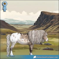 Horse Color:White Spotted Silver Brown Dun Sabino Blanket Brindle 