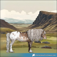Horse Color:White Spotted Silver Brown Dun Sabino Appaloosa Brindle 
