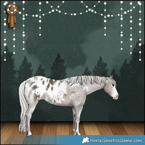 Horse Color:White Spotted Silver Black Sabino Appaloosa 