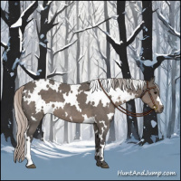 Horse Color:White Spotted Silver Black 