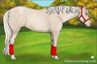 Horse Color:Silver Smoky Black Pearl Frame 