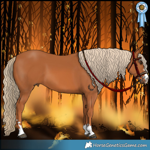 Horse Color:Chestnut 
