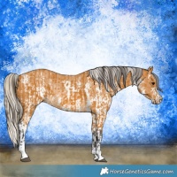 Horse Color:Buckskin Sabino Rabicano  and Silver Buckskin Sabino Rabicano 