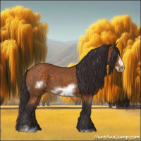 Horse Color:Buckskin Roan Sabino Frame 