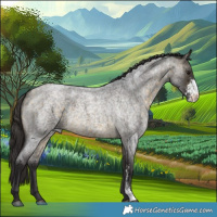 Horse Color:Buckskin Roan Sabino 