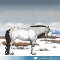 Horse Color:Buckskin Roan Sabino Frame 